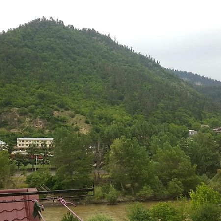 Karlsson Borjomi Apartment. Dış mekan fotoğraf