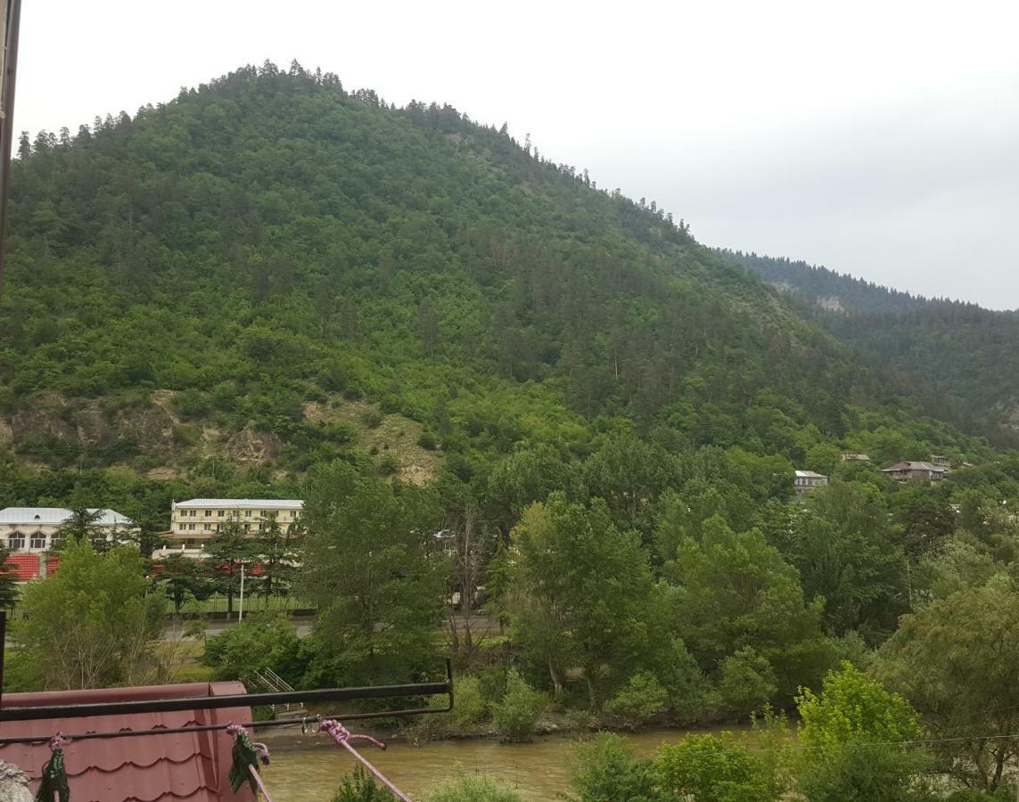 Karlsson Borjomi Apartment. Dış mekan fotoğraf